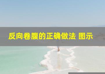 反向卷腹的正确做法 图示